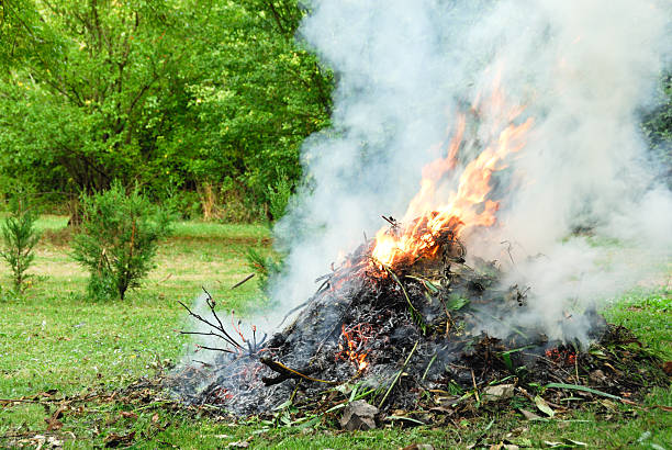 Garden Bonfire A fire in a garden to dispose of waste clippings, weeds and rubbish. outdoor fire stock pictures, royalty-free photos & images