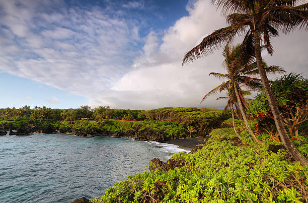 пляж с черным песком видами в waianapanapa государственный парк - black sand beach hawaii islands maui стоковые фото и изображения