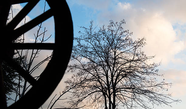 Old wagon wheel and tree Old wagon wheel and tree on blue cloudy sky wagon wheel bench stock pictures, royalty-free photos & images
