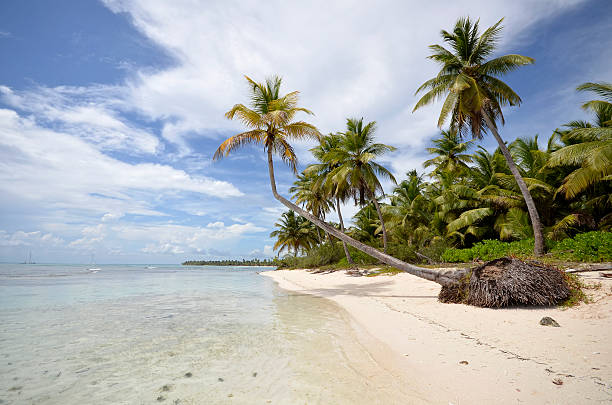 istock Perfect tropical island paradise beach 470416761