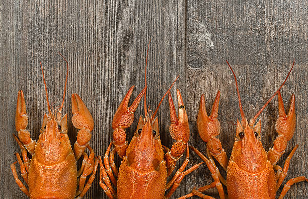 istock Three red crayfishes in a row on old wooden table 470417522