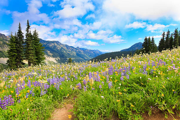 istock Picturesque landscape 470418279