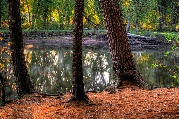 istock An HDR landscape of a forest and pond. 470419385