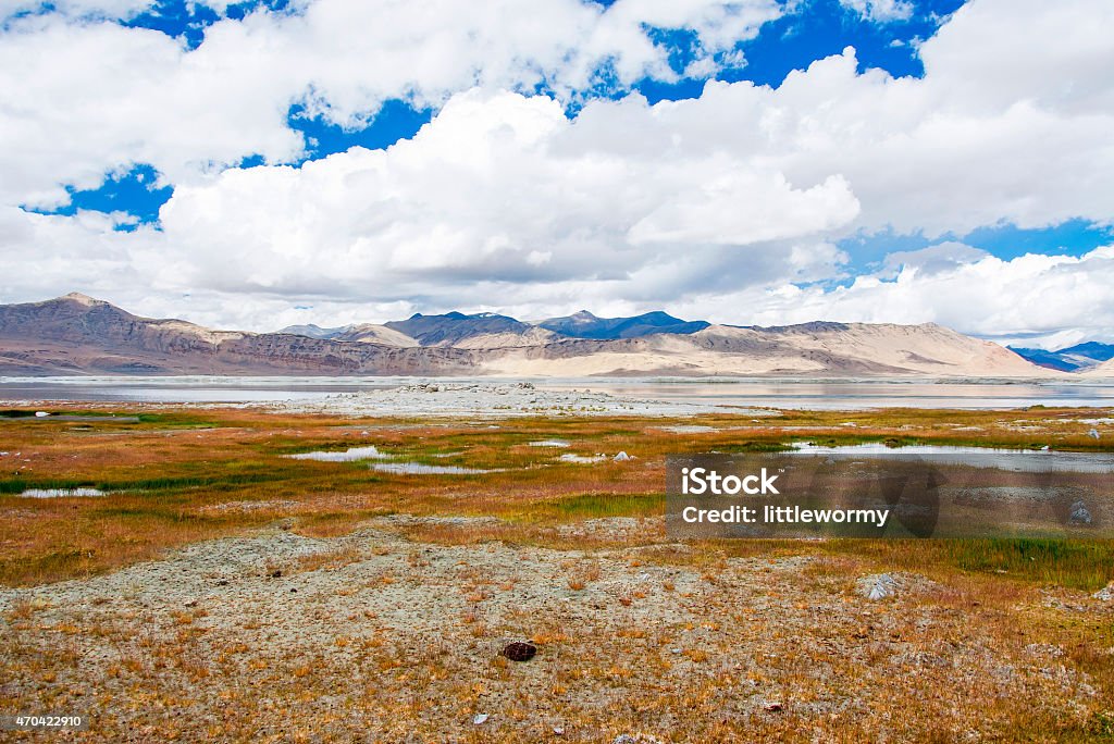 Tso Kar Tso Kar with colorful grass field - Famous highland salt lake in Ladakh, India 2015 Stock Photo