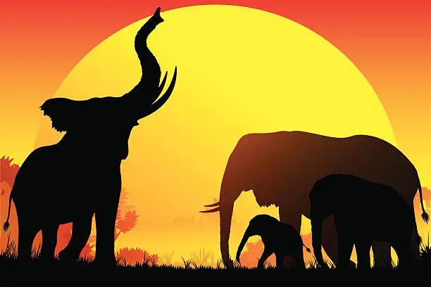 Vector illustration of African Elephants Family silhouettes safari in hot day