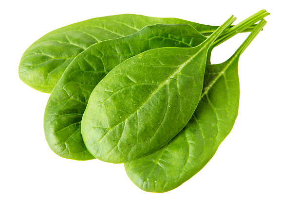 istock green leaves of spinach isolated on white background 470427337