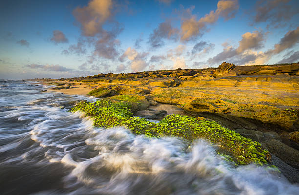 St. Augustine FL Beaches Washington Oaks State Park Coquina Beach