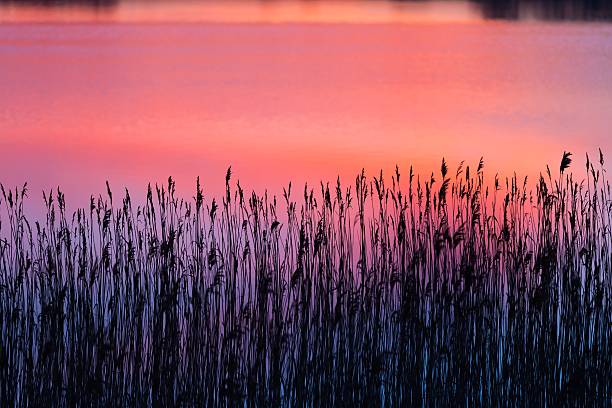 istock Beautiful lake with colorful sunset sky reflected in water. 470428658