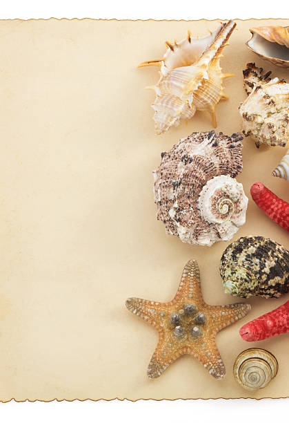 istock aged paper and sea concept 470429379