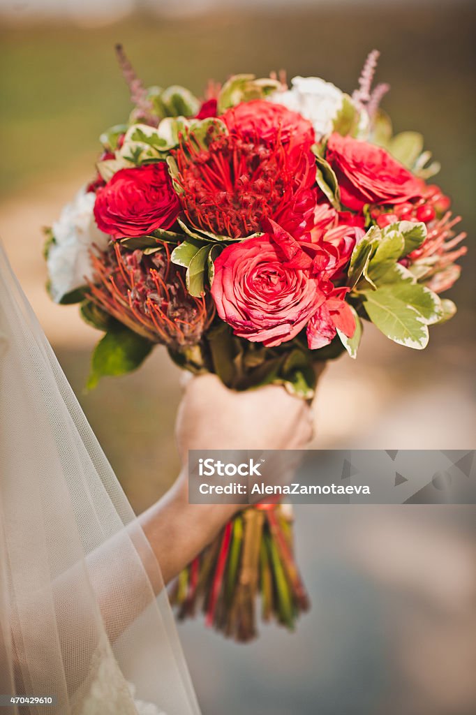 Flores en manos de la chica 2329. - Foto de stock de 2015 libre de derechos