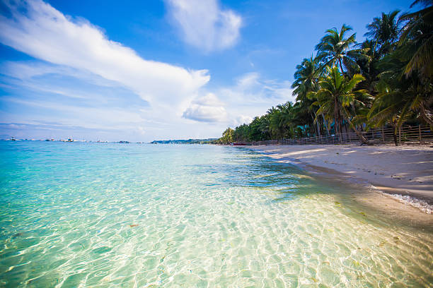 istock Perfect tropical beach with turquoise water and white sand 470435587
