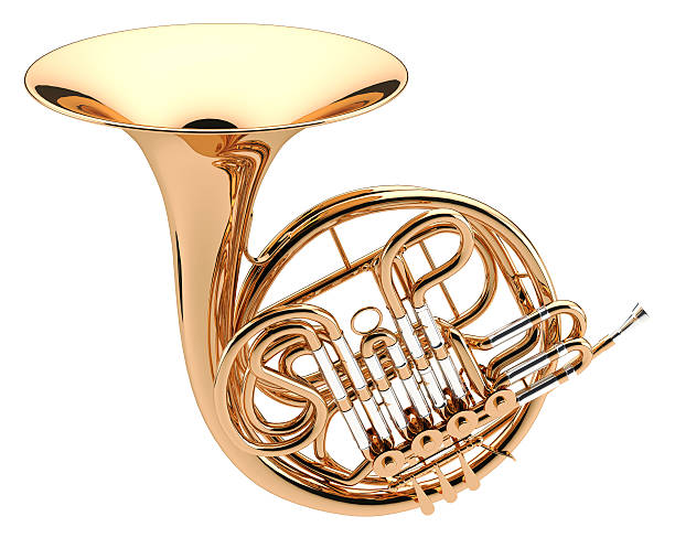 French Horn Symphonic musical instrument brass instrument stock pictures, royalty-free photos & images