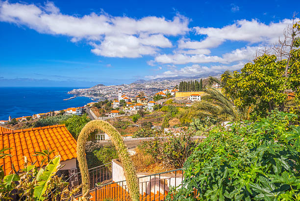 Elevated view on Madeira´s capital Funchal on a beautiful spring day.
