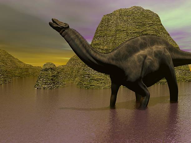 dicraeosaurus dinosaur stock photo