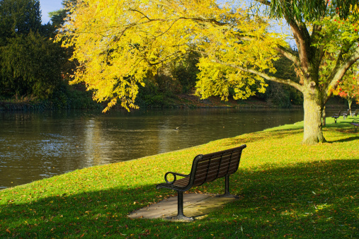 Autumn landscape with lake and wooden bench in the city park.