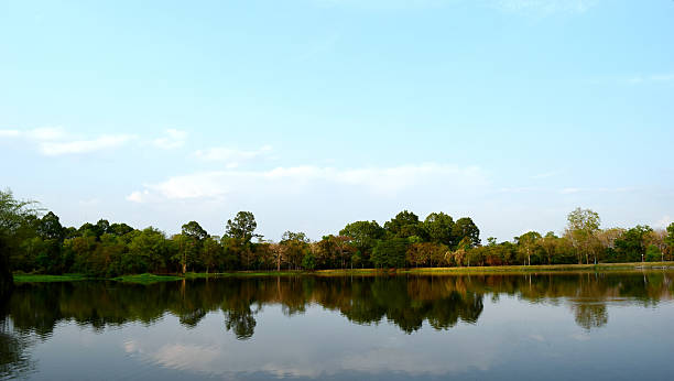 istock View of the sky , trees and marshes 470442098
