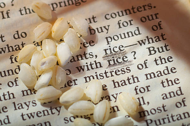 istock Rice, close up, on a page by W Shakespeare 470442328
