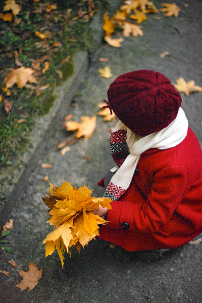 istock Little girl collect leaves 470448014