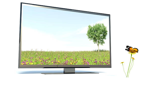 istock Butterfly and TV, nature 470448551