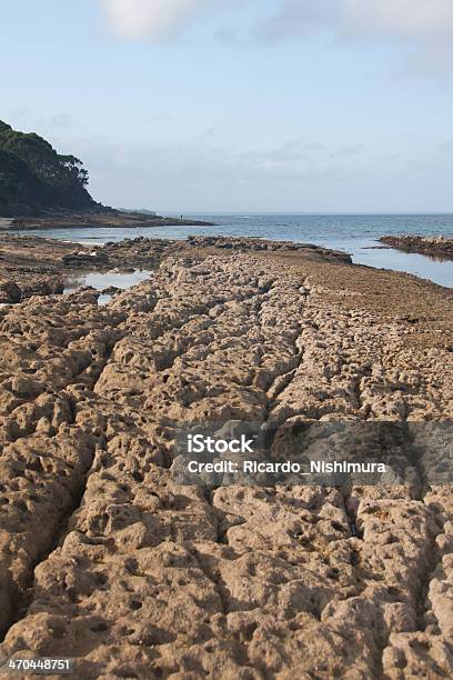 Parque Nacional Da Baía De Jervis - Fotografias de stock e mais imagens de Ajardinado - Ajardinado, Capitais internacionais, Cubo de gelo