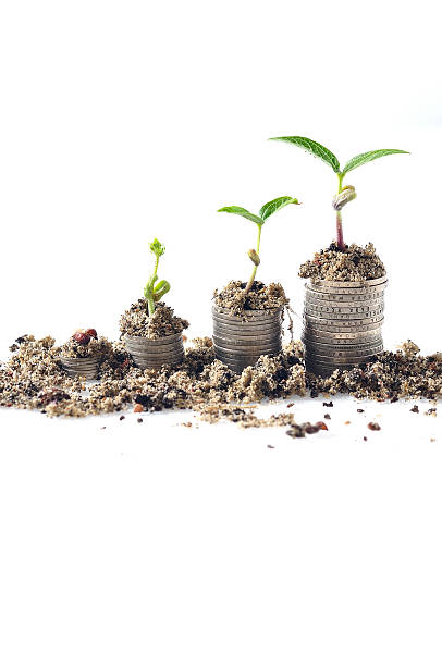 istock Growing Plant On Increasing Coin at White Background 470448868