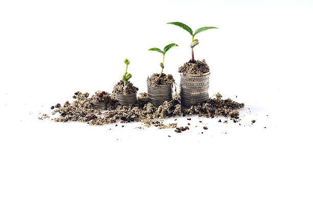 istock Growing Plant On Increasing Coin at White Background 470451692