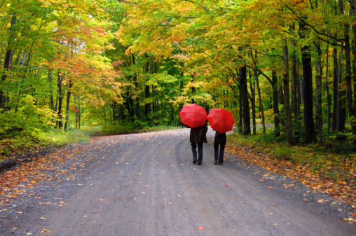 Retired couple stroll beneath a tunnel of yellow and gold leaves.  They have further protection from red umbrellas as they make the curve on a secluded dirt road.