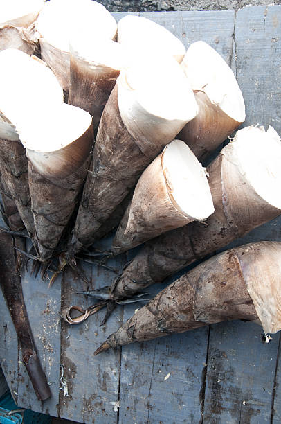 istock raw bamboo shoot is a kind of Thai food 470454740