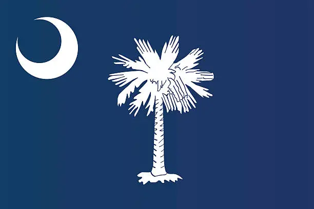 Vector illustration of Close-up of flag of South Carolina 