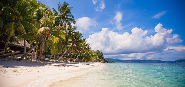istock Perfect beach with green palms,white sand and water 470456299