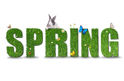 Spring concept of word 
