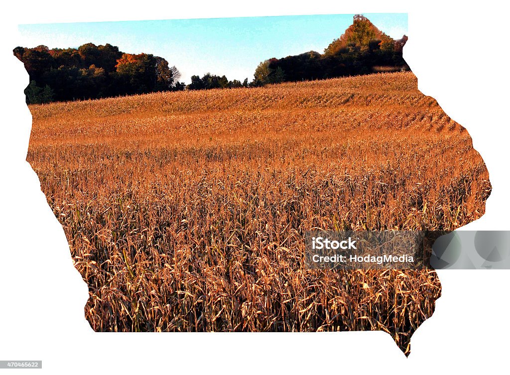 State of Iowa outline with corn field Fall colors with a corn field at the edge of a woods. State of Iowa 2015 Stock Photo