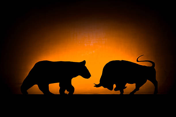 change: bear et taureau - stock market bull bull market bear photos et images de collection