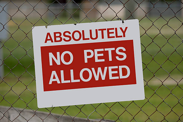 istock 