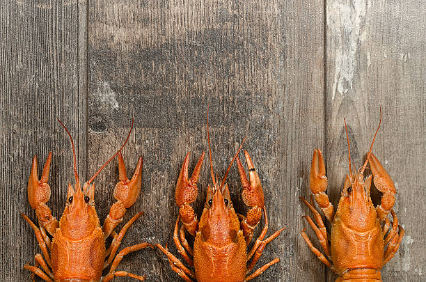 istock Three red crayfishes in a row on old wooden table 470471954