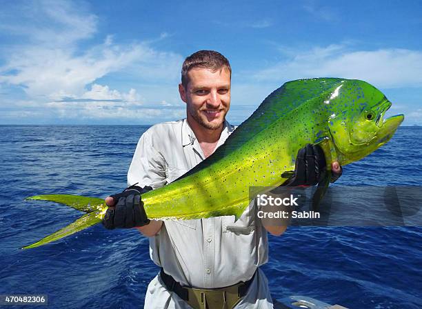 Sea Fishing Big Game Fishing Catch Of Fish Stock Photo - Download Image Now - Fish, Fishing, Fishing Industry