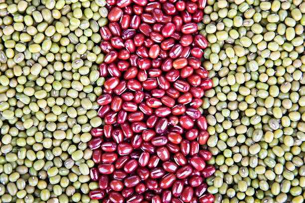 istock Lines of Dried Beans 470484944