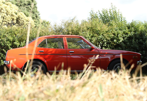 Shot of a vintage sedan through the summer grass.