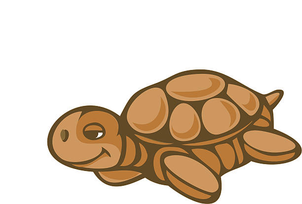 illustrations, cliparts, dessins animés et icônes de tortue de mer - turtle