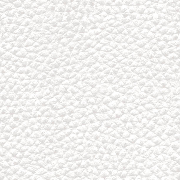 Realistic White Seamless Leather Background Texture - Illustration Realistic leather white background texture in Vector. bumpy stock illustrations