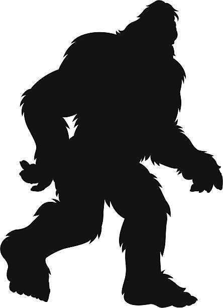 hairy bigfoot silhouette hairy cartoon silhouette of a sasquatch yeti cartoons stock illustrations