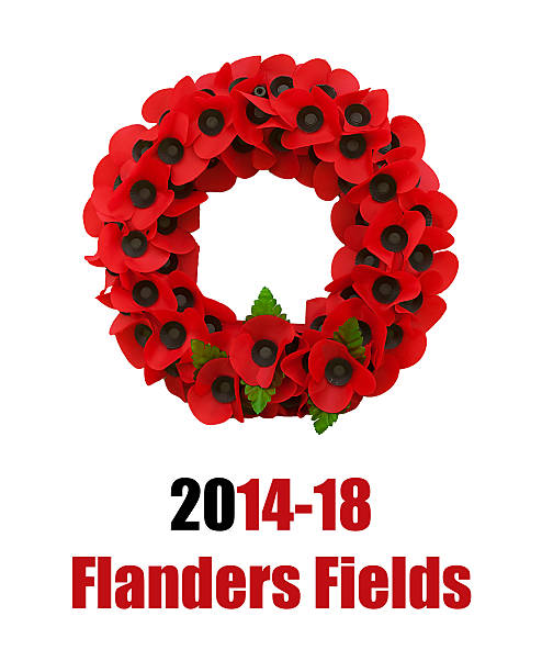 istock Poppy world war one great poppies flanders fields 470508297