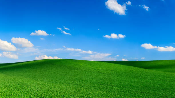 istock Spring landscape 115MPix XXXXL - meadow, blue sky 470509668