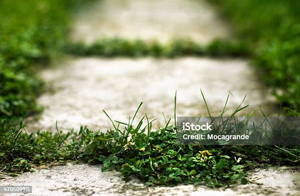 Old Path With Grass To Nowhere Stock Photo - Download Image Now - Abandoned, Aspirations, Beauty