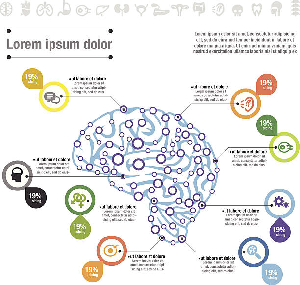 Mind Map Vector File of Mind Map Brain electric organ stock illustrations