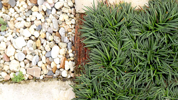 istock garden path stone and grass, landscape details 470513192