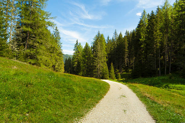istock path out of the forest 470514722