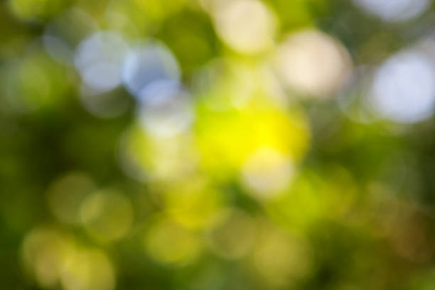 istock abstract green background with natural bokeh 470515190