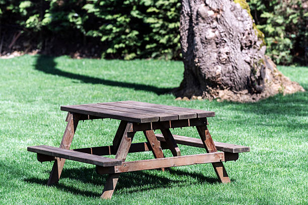 istock Picnic Table and Bench in Garden 470518854