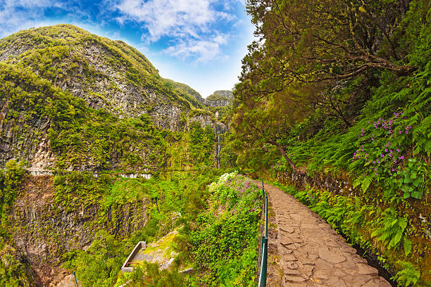 Madeira, idyllic landscape stock photo